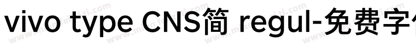 vivo type CNS简 regul字体转换